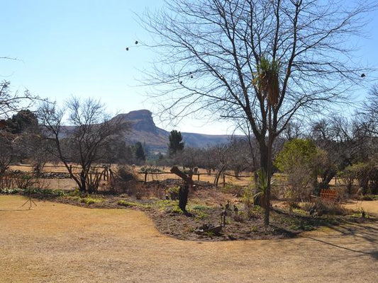 Zebra Unit @ Shumba Valley Guest Farm