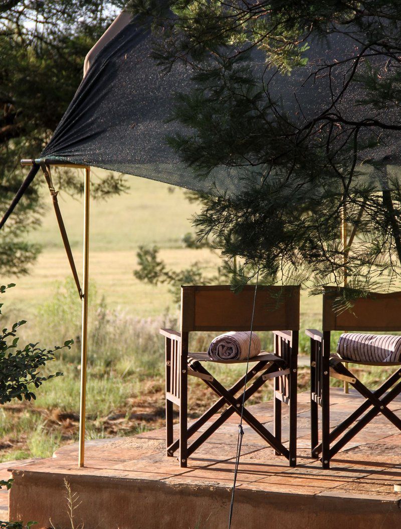 Sibani Luxury Tents Krugersdorp Gauteng South Africa 