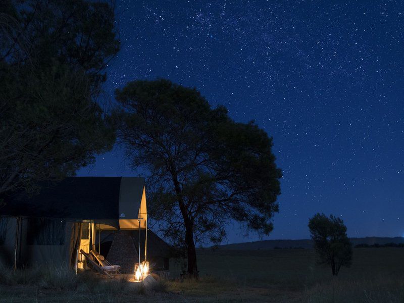 Sibani Luxury Tents Krugersdorp Gauteng South Africa Night Sky, Nature