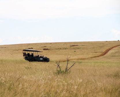 Sibani Luxury Tents Krugersdorp Gauteng South Africa Field, Nature, Agriculture, Lowland, Vehicle