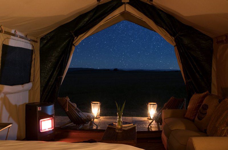 Sibani Luxury Tents Krugersdorp Gauteng South Africa Tent, Architecture, Night Sky, Nature