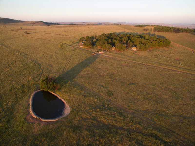 Sibani Luxury Tents Krugersdorp Gauteng South Africa Field, Nature, Agriculture, Aerial Photography, Lowland