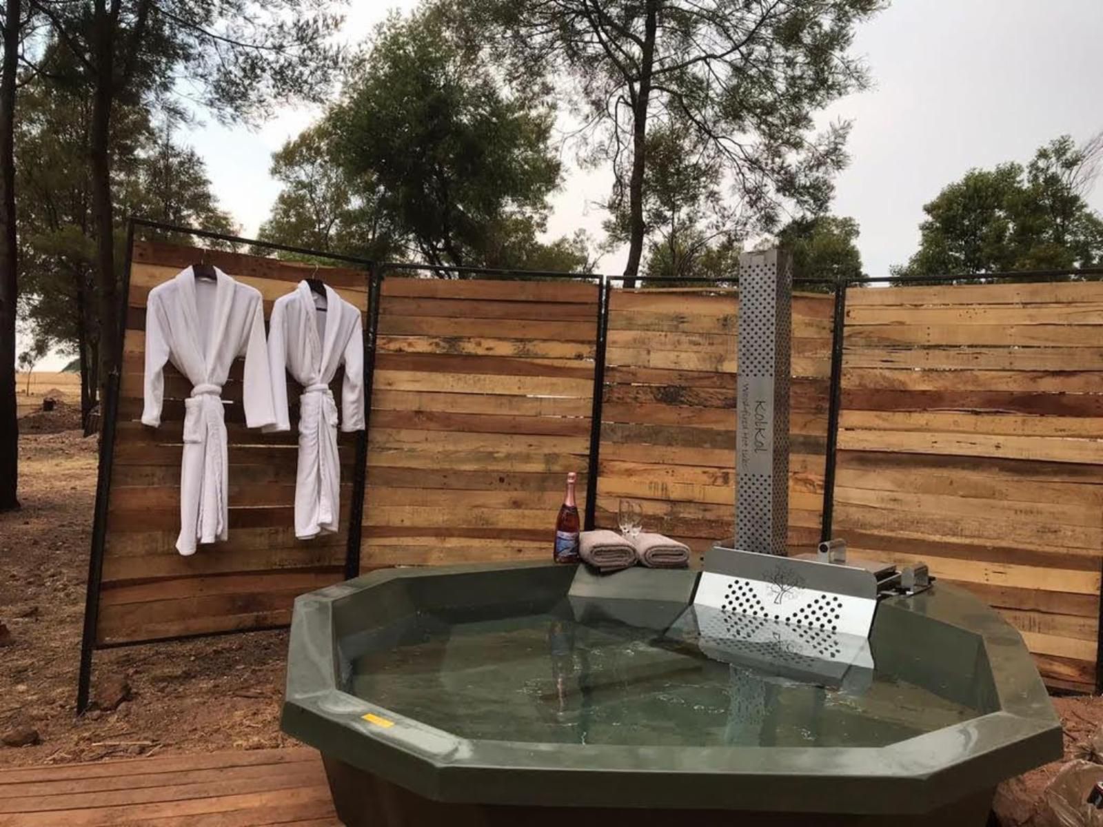 Sibani Lodge Krugersdorp Gauteng South Africa Bathroom, Swimming Pool