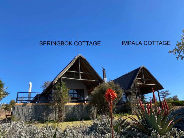 Superior Cottage @ Sibani Lodge