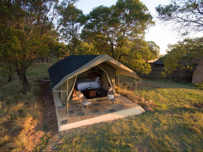 Waterhole Glamping @ Sibani Lodge