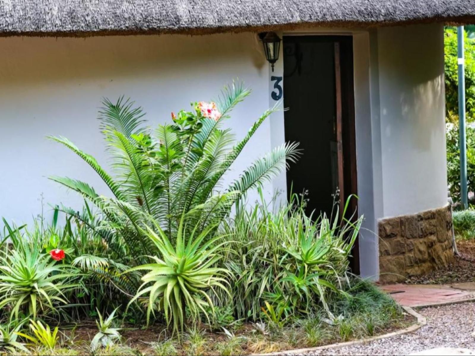Sibsons House Hillcrest Durban Kwazulu Natal South Africa Palm Tree, Plant, Nature, Wood