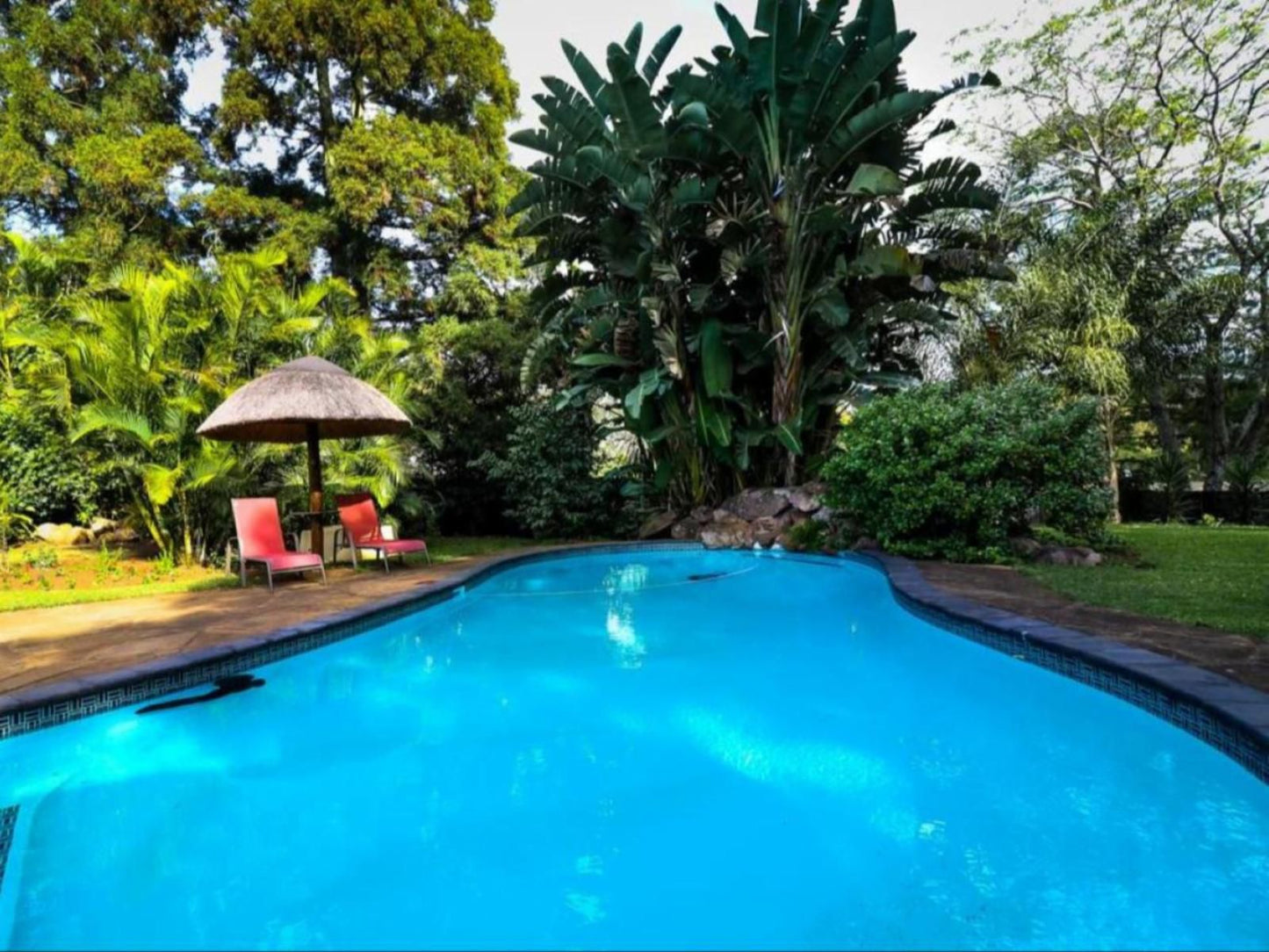 Sibsons House Hillcrest Durban Kwazulu Natal South Africa Complementary Colors, Palm Tree, Plant, Nature, Wood, Garden, Swimming Pool
