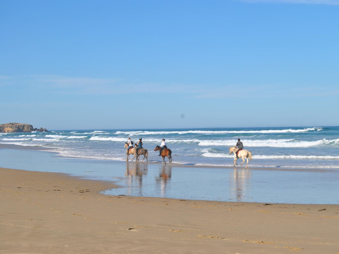 Sibuya Game Reserve Kenton On Sea Eastern Cape South Africa Complementary Colors, Dog, Mammal, Animal, Pet, Beach, Nature, Sand, Ocean, Waters