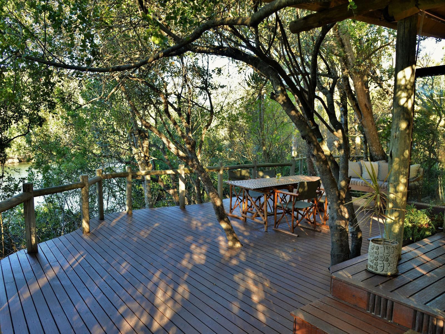 Sibuya Game Reserve Kenton On Sea Eastern Cape South Africa Plant, Nature, Tree, Wood, Garden