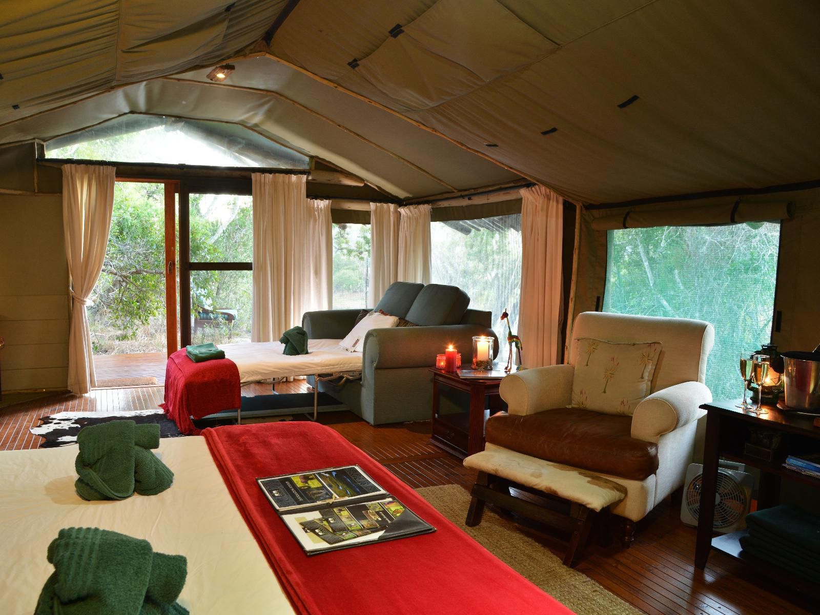 Sibuya Game Reserve Kenton On Sea Eastern Cape South Africa Living Room