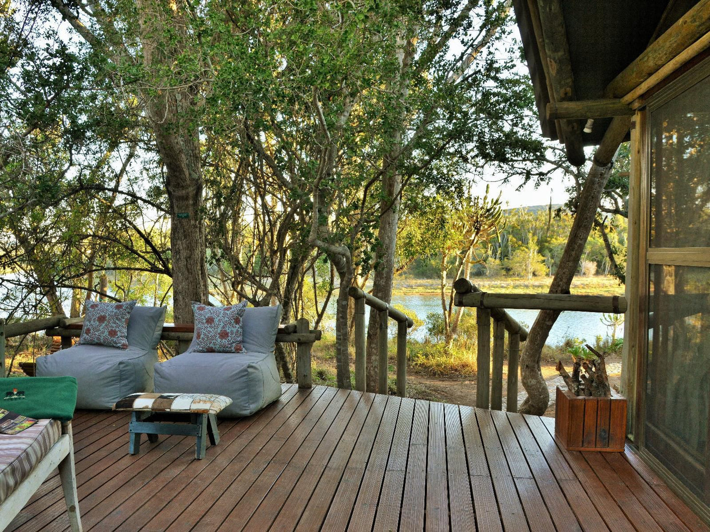 Sibuya Game Reserve Kenton On Sea Eastern Cape South Africa 