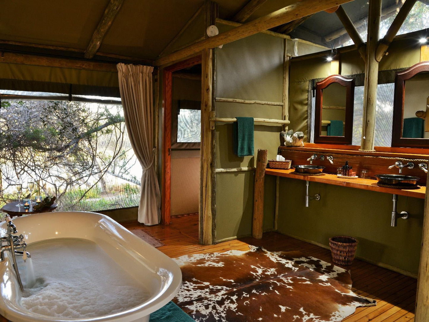 Sibuya Game Reserve Kenton On Sea Eastern Cape South Africa 