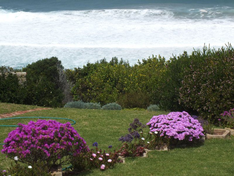 Sieniesee Dana Bay Mossel Bay Western Cape South Africa Beach, Nature, Sand, Plant, Garden