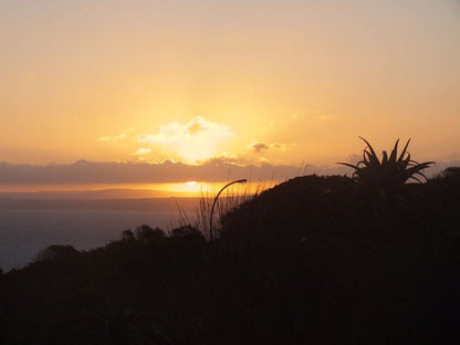Sieniesee Dana Bay Mossel Bay Western Cape South Africa Beach, Nature, Sand, Palm Tree, Plant, Wood, Sky, Sunset