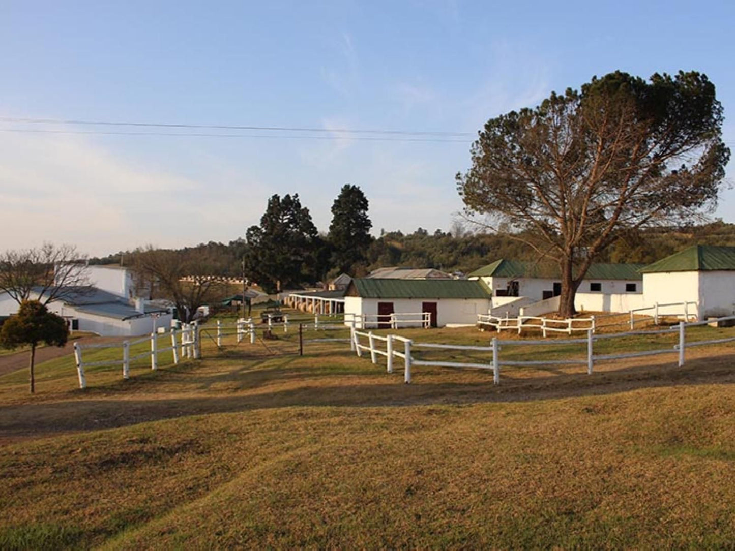 Sierra Ranch, Horse, Mammal, Animal, Herbivore