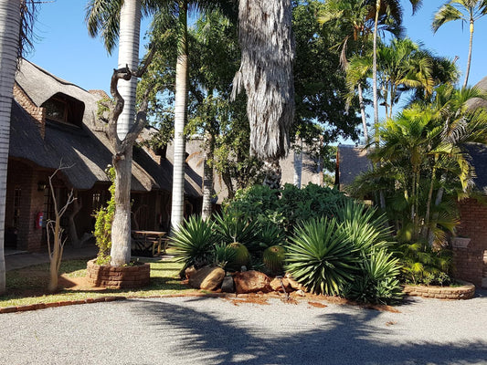 Siesta Guest House Musina Musina Messina Limpopo Province South Africa House, Building, Architecture, Palm Tree, Plant, Nature, Wood