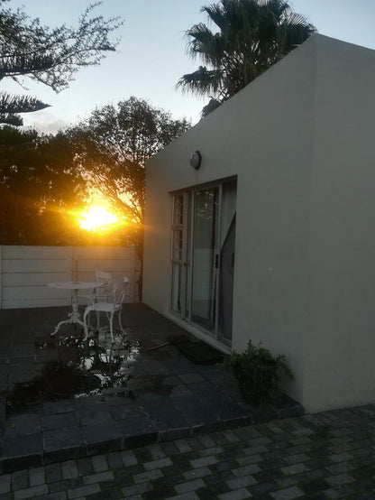 Siesta Lodge Bandb Plattekloof Cape Town Western Cape South Africa Palm Tree, Plant, Nature, Wood, Sunset, Sky