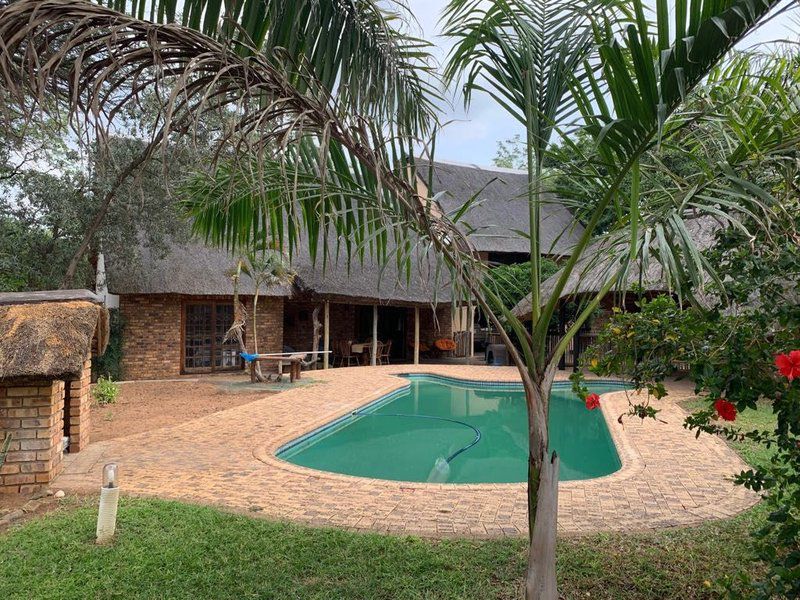 Silbern S Nest Phalaborwa Limpopo Province South Africa Palm Tree, Plant, Nature, Wood, Swimming Pool