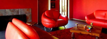 Silent View Guesthouse Riviera Pretoria Tshwane Gauteng South Africa Colorful, Living Room