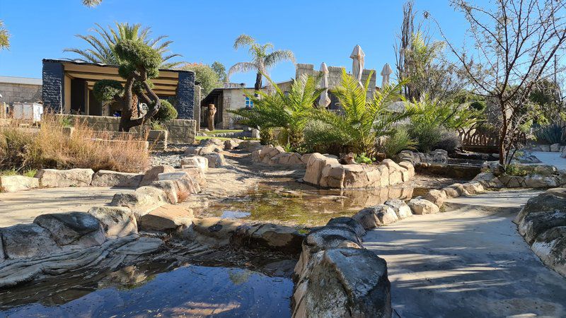 Siloam Village Tent And Caravan Stands Gariep Dam Free State South Africa Complementary Colors, Palm Tree, Plant, Nature, Wood, Garden, Swimming Pool