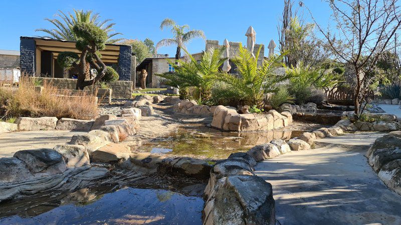 Siloam Village Tent And Caravan Stands Gariep Dam Free State South Africa Complementary Colors, Palm Tree, Plant, Nature, Wood, Garden, Swimming Pool