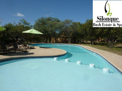 Silonque Bush Estate And Spa Phalaborwa Limpopo Province South Africa Swimming Pool