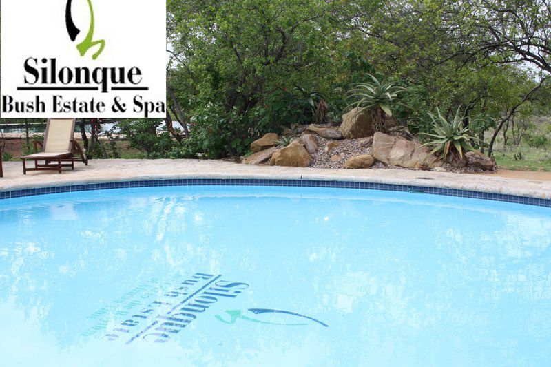 Silonque Bush Estate And Spa Phalaborwa Limpopo Province South Africa Swimming Pool