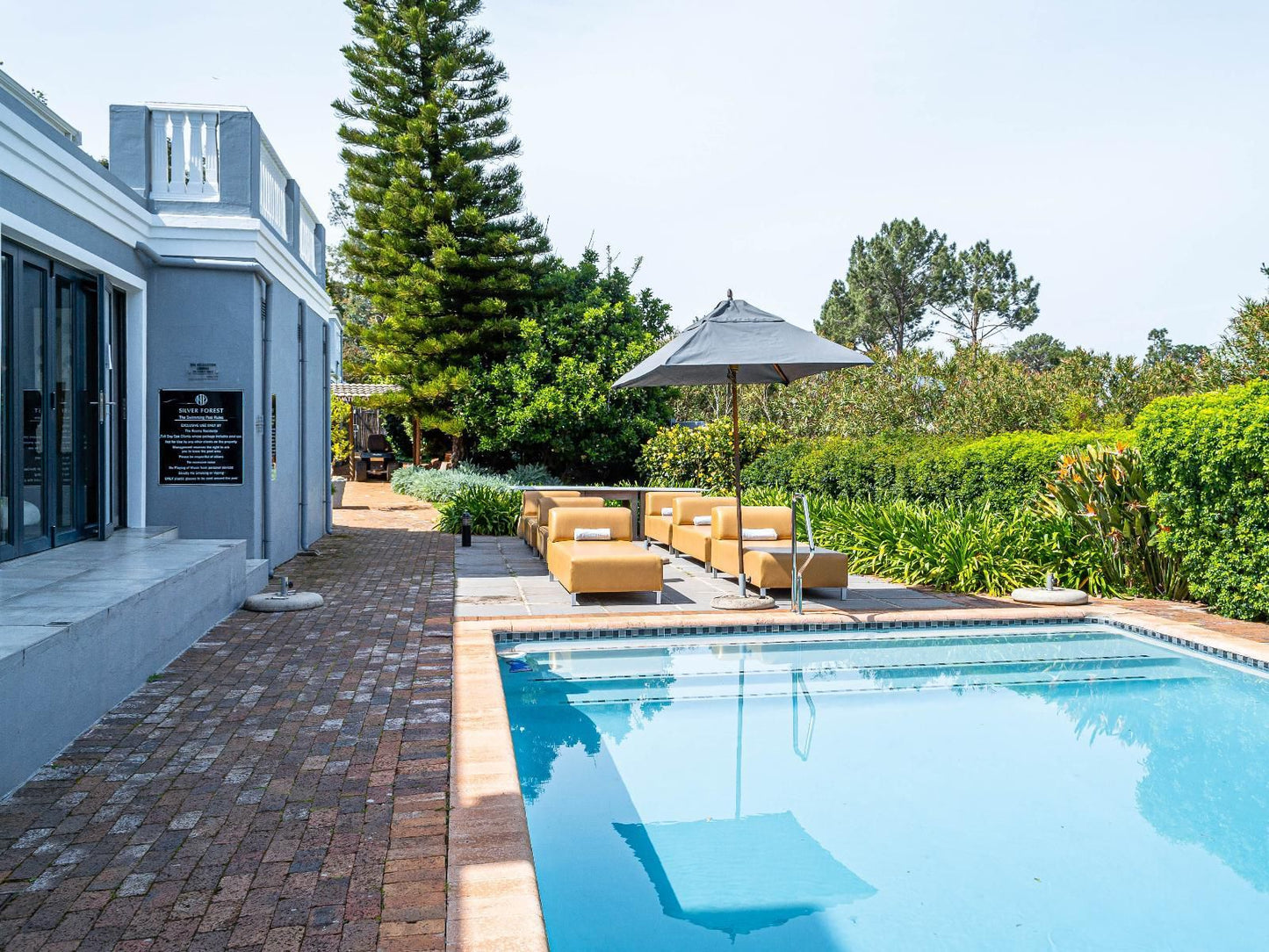 Silver Forest Boutique Hotel Spanish Farm Ext 1 Somerset West Western Cape South Africa Complementary Colors, Garden, Nature, Plant, Swimming Pool