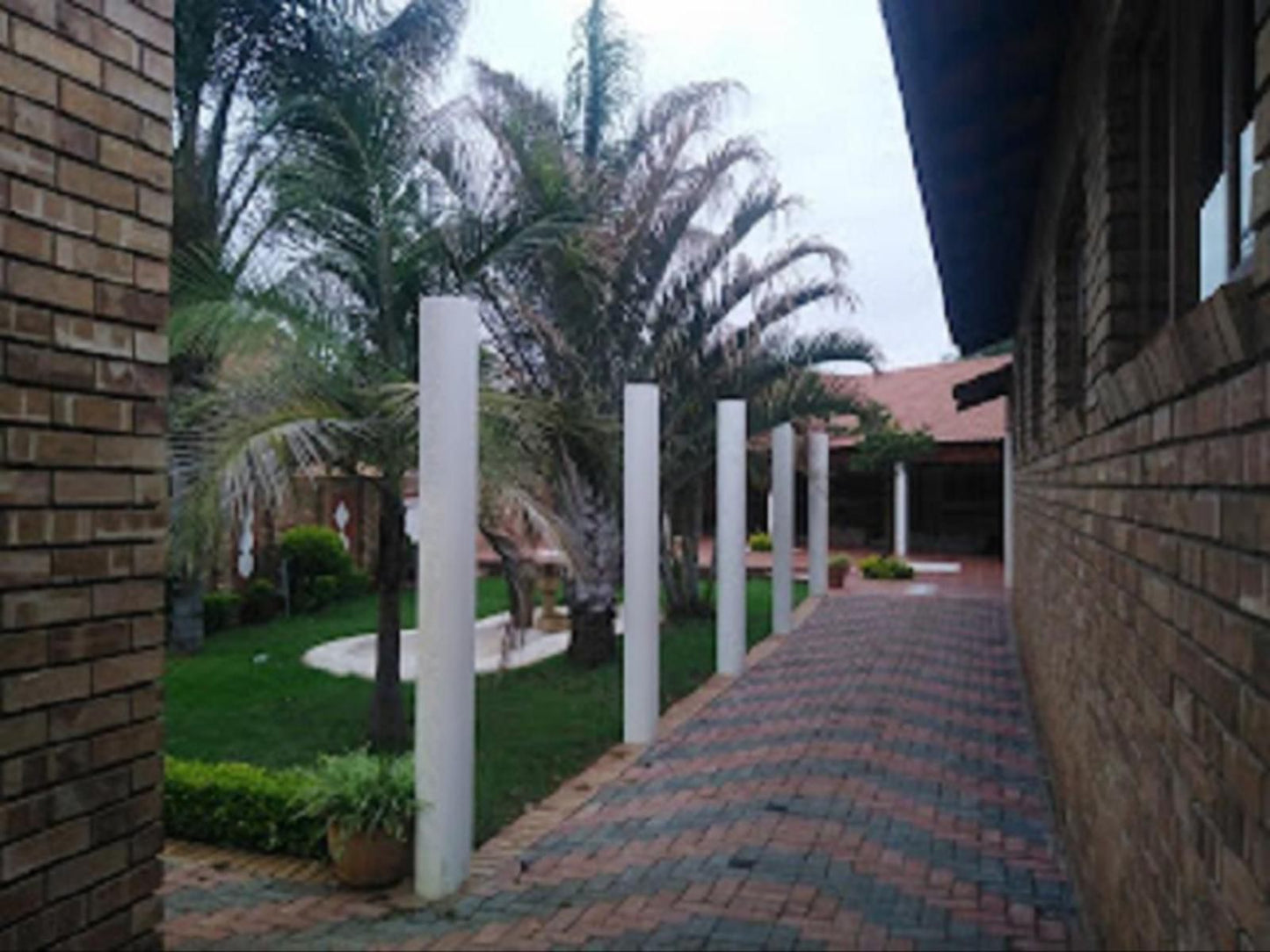 Silver Exclusive Lodge Dalmada Polokwane Pietersburg Limpopo Province South Africa Palm Tree, Plant, Nature, Wood