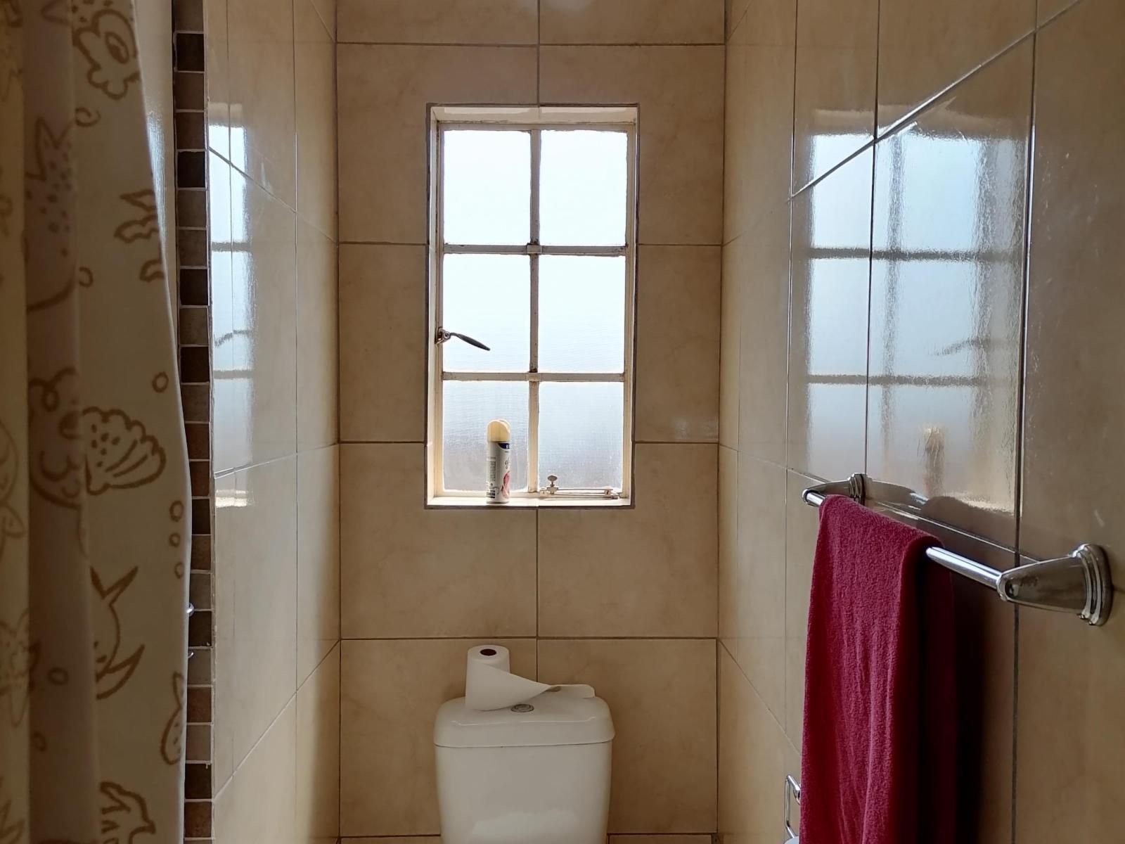 Silver Exclusive Lodge Dalmada Polokwane Pietersburg Limpopo Province South Africa Bathroom