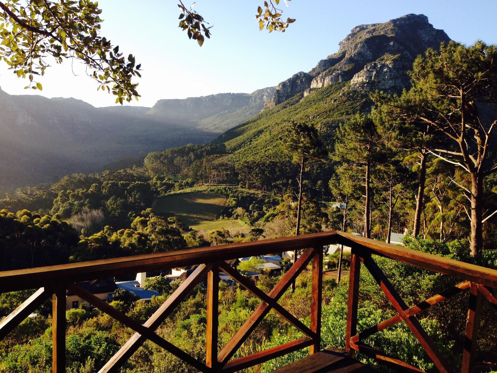 Silvermist Wine Estate Hout Bay Cape Town Western Cape South Africa Mountain, Nature, Highland