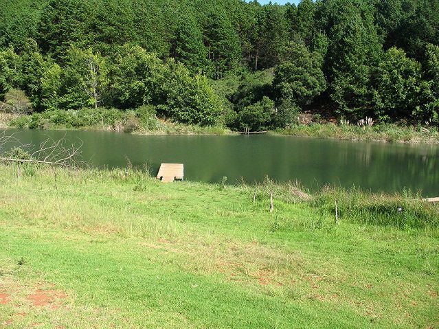 Silver Mist Adventure Lodge Haenertsburg Limpopo Province South Africa River, Nature, Waters, Tree, Plant, Wood