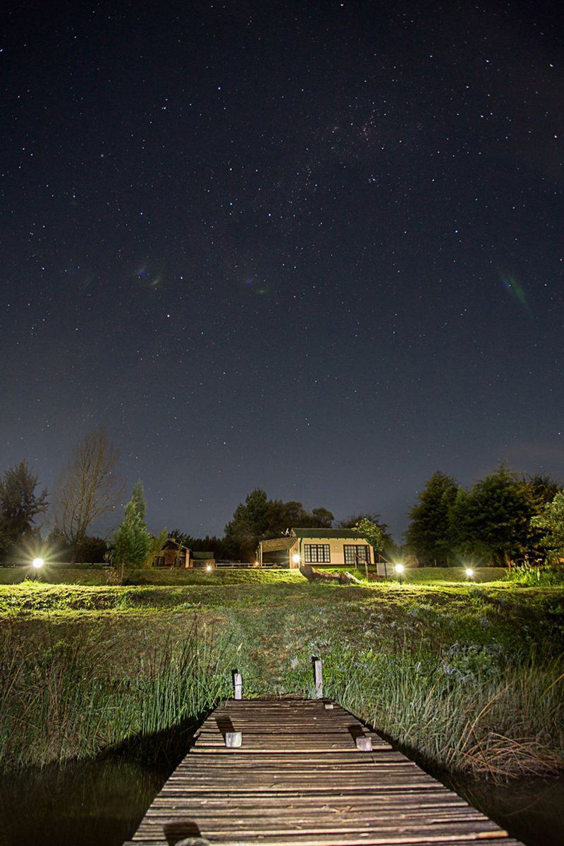 Silver Mist Adventure Lodge Haenertsburg Limpopo Province South Africa Astronomy, Nature, Night Sky, Polar Lights