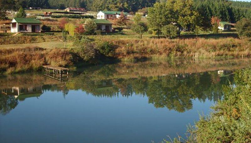 Silver Mist Adventure Lodge Haenertsburg Limpopo Province South Africa River, Nature, Waters, Tree, Plant, Wood, Autumn