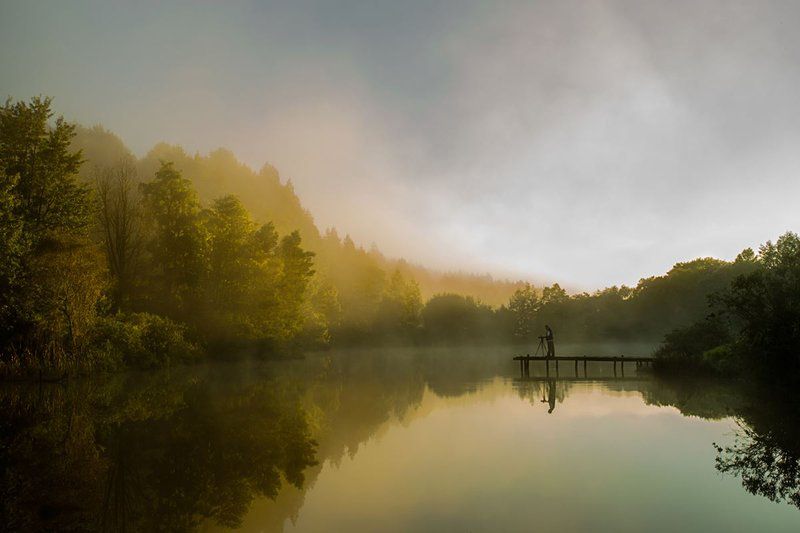 Silver Mist Adventure Lodge Haenertsburg Limpopo Province South Africa Fog, Nature, Tree, Plant, Wood, Autumn