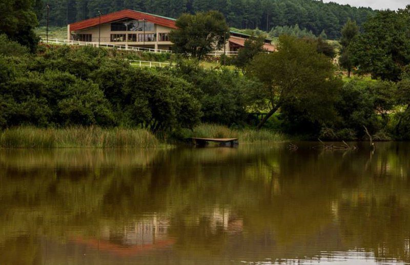 Silver Mist Adventure Lodge Haenertsburg Limpopo Province South Africa Boat, Vehicle, Lake, Nature, Waters, River, Tree, Plant, Wood