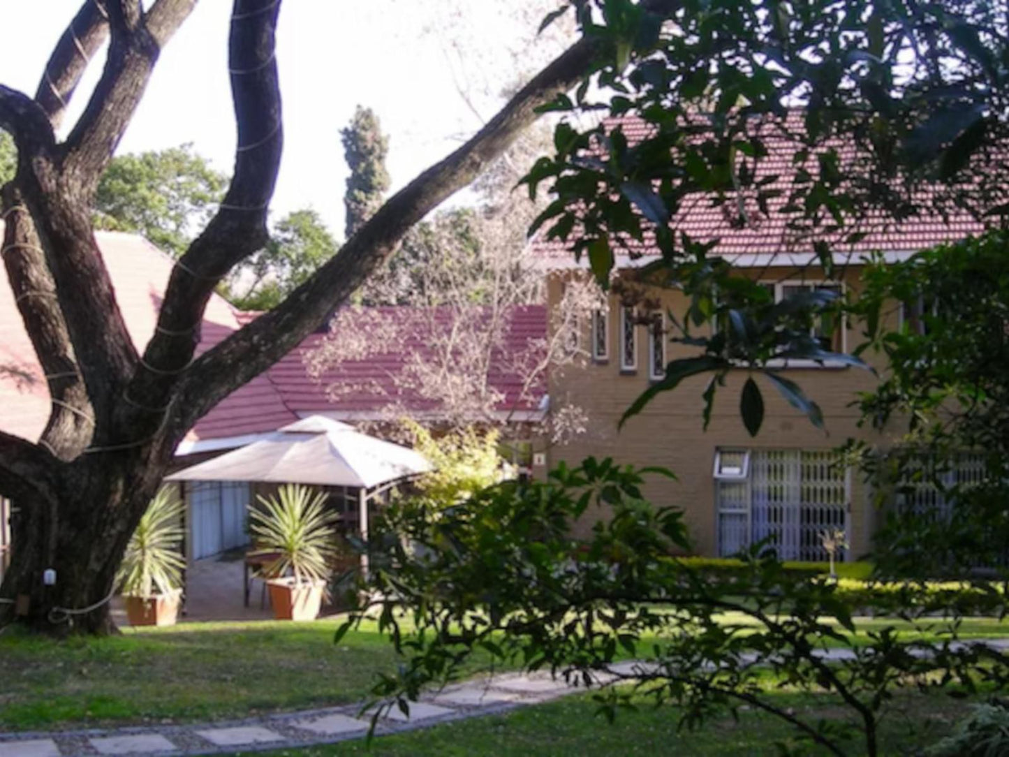 Silverstone Guest House Ferndale Ridge Johannesburg Gauteng South Africa House, Building, Architecture, Palm Tree, Plant, Nature, Wood