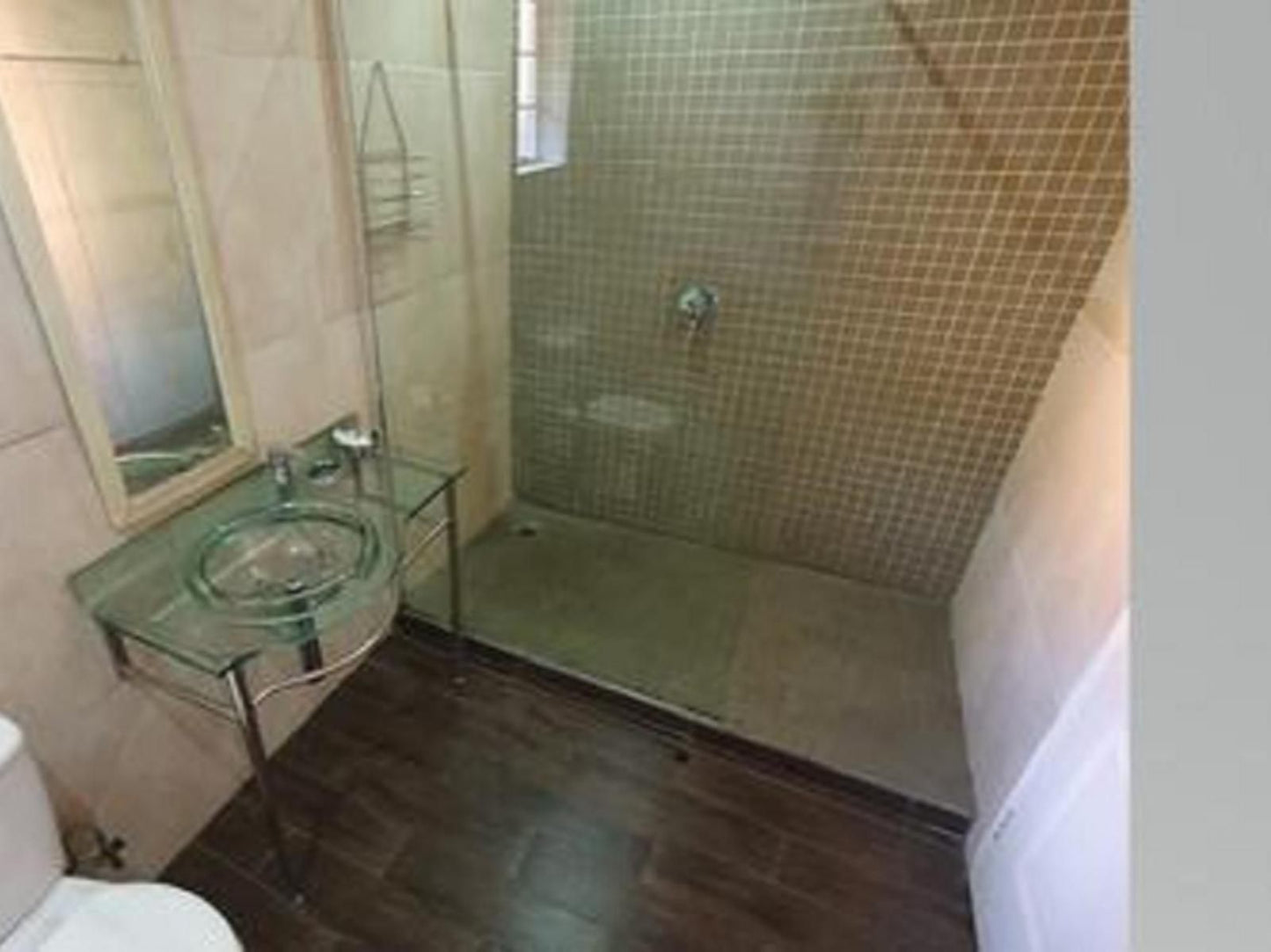 Silverstone Guest House Ferndale Ridge Johannesburg Gauteng South Africa Bathroom