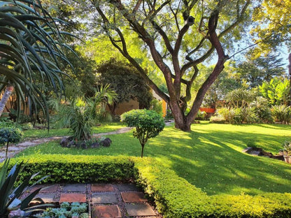 Silverstone Guest House Ferndale Ridge Johannesburg Gauteng South Africa Plant, Nature, Garden