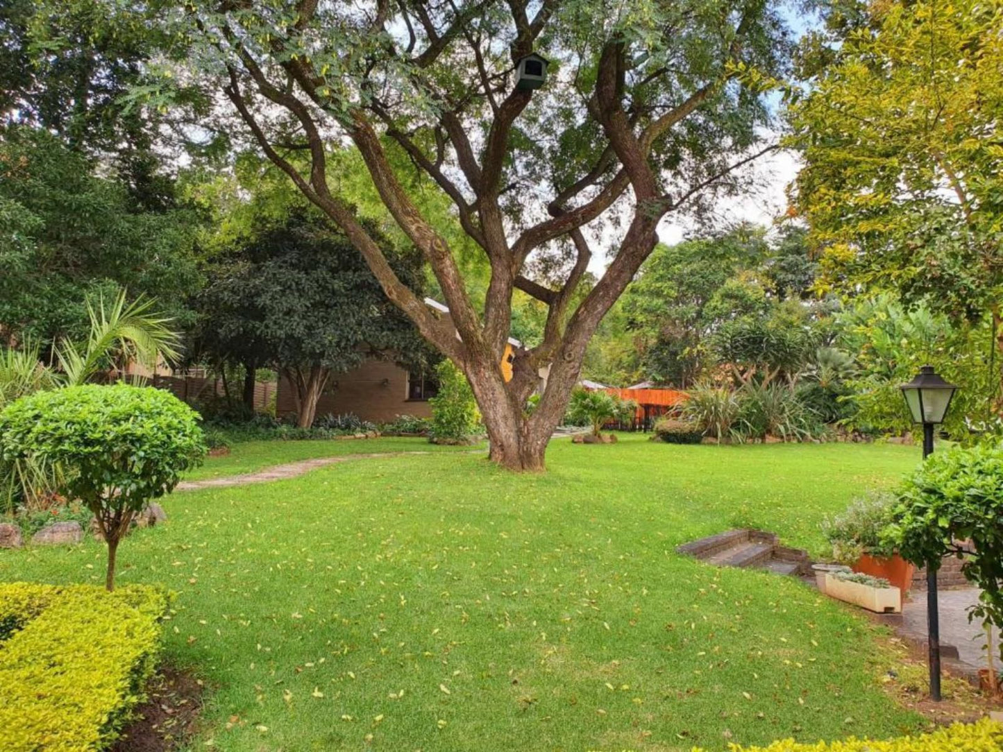 Silverstone Guest House Ferndale Ridge Johannesburg Gauteng South Africa Plant, Nature, Tree, Wood, Garden