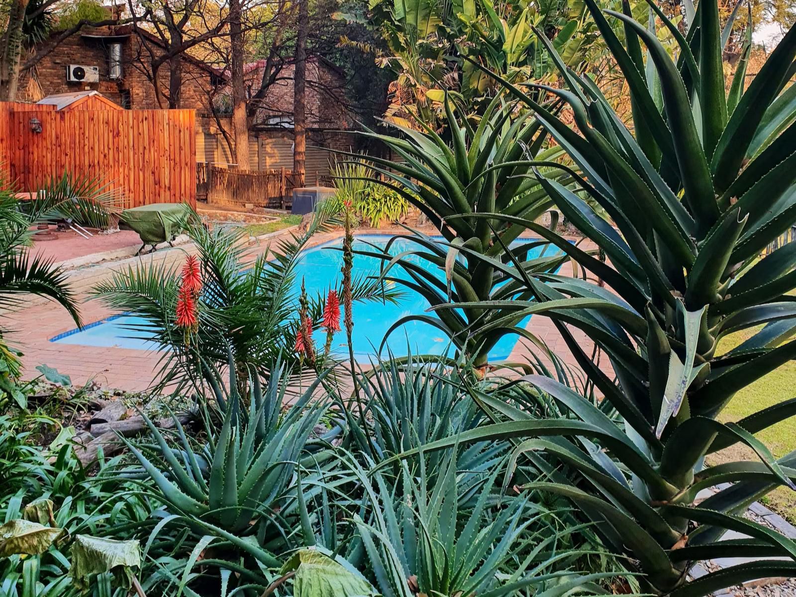 Silverstone Guest House Ferndale Ridge Johannesburg Gauteng South Africa Plant, Nature, Garden, Swimming Pool