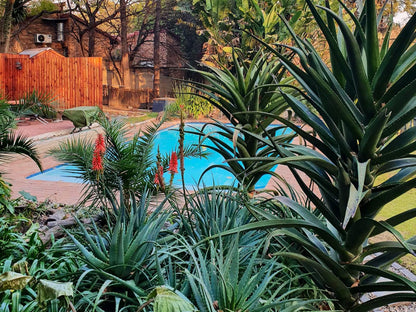 Silverstone Guest House Ferndale Ridge Johannesburg Gauteng South Africa Plant, Nature, Garden, Swimming Pool