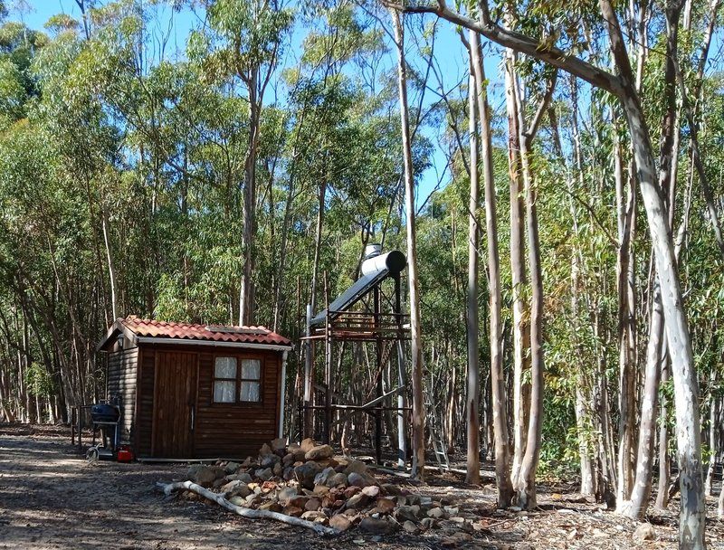 Silwerfontein Farm Tulbagh Western Cape South Africa Forest, Nature, Plant, Tree, Wood