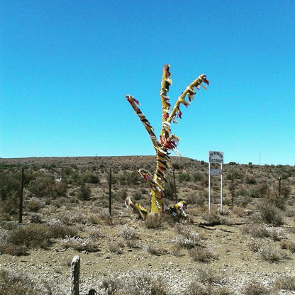 Silwerkaroo Gastehuis Beaufort West Western Cape South Africa Cactus, Plant, Nature, Desert, Sand