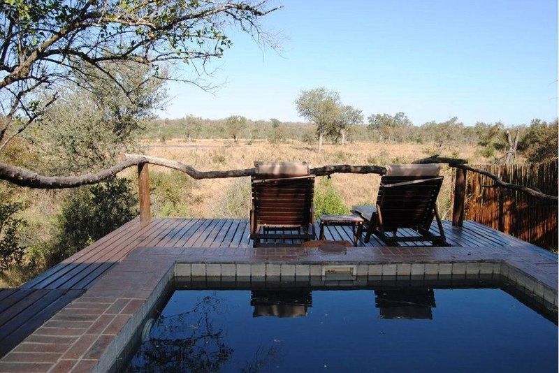 Simbambili Game Lodge Thornybush Game Reserve Mpumalanga South Africa Complementary Colors, Swimming Pool