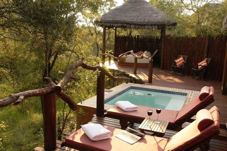 Simbambili Game Lodge Thornybush Game Reserve Mpumalanga South Africa Swimming Pool