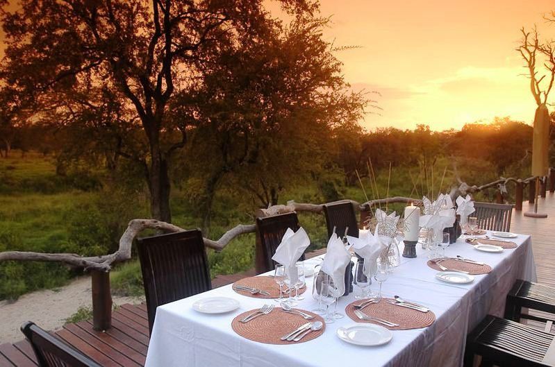 Simbambili Game Lodge Thornybush Game Reserve Mpumalanga South Africa Place Cover, Food