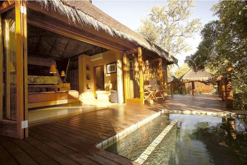 Simbambili Game Lodge Thornybush Game Reserve Mpumalanga South Africa Swimming Pool