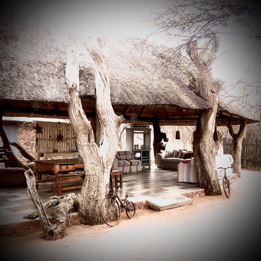 Simba Safari Lodge Lephalale Ellisras Limpopo Province South Africa Cabin, Building, Architecture