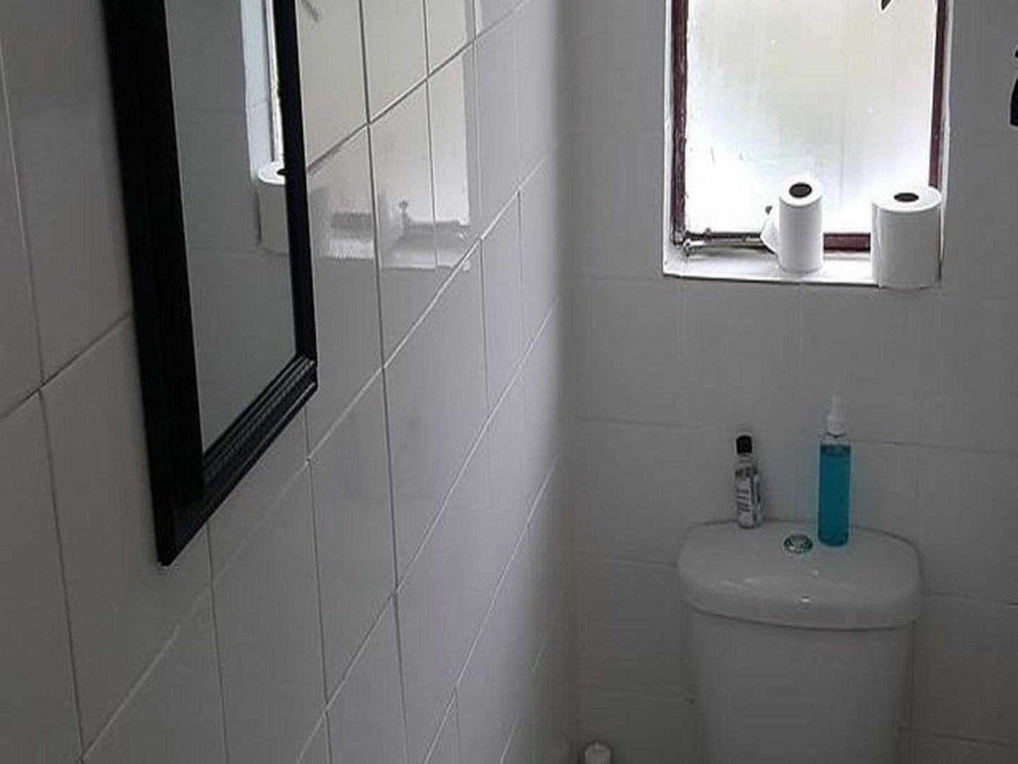 Simbasun President Park Johannesburg Gauteng South Africa Unsaturated, Bathroom